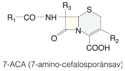 Cefalosporinok