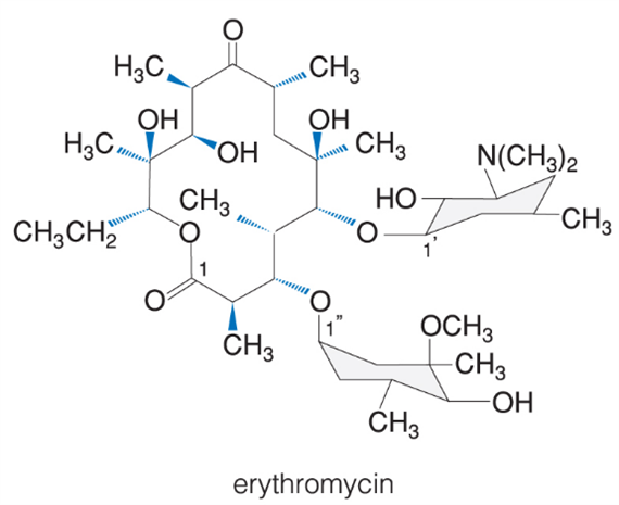Makrolid antibiotikumok