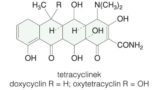 Tetracyclinek