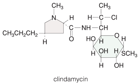 Lincosamidok