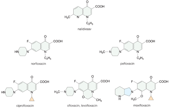 Kinolonok, fluorokinolonok