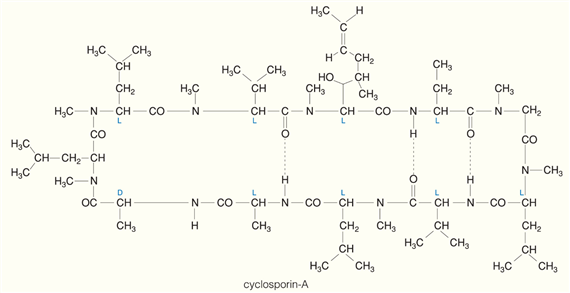 Cyclosporin