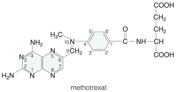 Methotrexat (MTX)