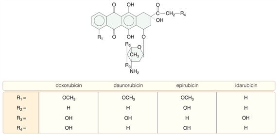 Antraciklinek