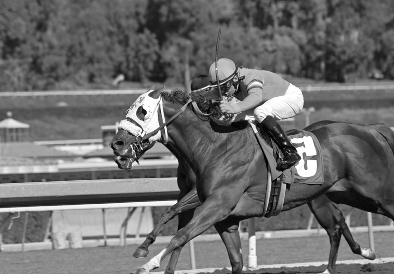 A jockey racing a horse.