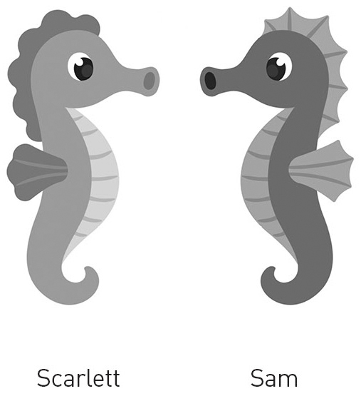 Two cartoon seahorses facing each other, labeled Scarlett and Sam.