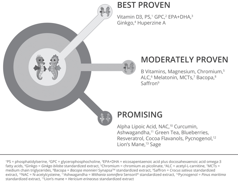 Diagram listing the three levels of nutraceuticals. Best proven: Vitamin D3, PS (phosphatidylserine), GPC (glycerophosphocholine), EPA+DHA (eicosapentaenoic acid plus docosahexaenoic acide omega-3 fatty acids), Ginkgo (Ginkgo biloba standardized extract), Huperzine A. Moderately proven: B Vitamins, Magnesium, Chromium (chromium as picolinate), ALC (acetyl-L-carnitine), Melatonin, MCTs (medium chain triglycerides), Bacopa (Bacopa monnieri Synapsa standardized extract), Saffron (Crocus sativus standardized extract). Promising: Alpha Lipoic Acid, NAC (N-acetylcysteine), Curcumin, Ashwagandha (Withania somnifera Sensoril standardized extract), Green Tea, Blueberries, Resveratrol, Cocoa Flavanols, Pycnogenol (Pinus maritima standardized extract), Lion's Mane (Hericium erinaceus standardized extract), Sage.