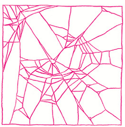 4_Fact_Netz_koffein.tif