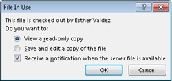 When a team member has a file checked out, you’ll see a notification like this.