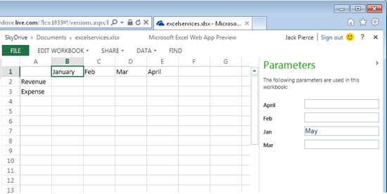 Only the cells defined as parameters are editable in this view.