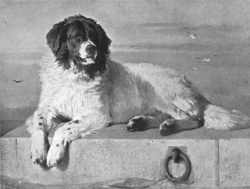 A DISTINGUISHED MEMBER OF THE HUMANE SOCIETY National Gallery, London