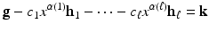 
$$\displaystyle{\mathbf{g} - c_{1}x^{\alpha (1)}\mathbf{h}_{ 1} -\cdots - c_{\ell}x^{\alpha (\ell)}\mathbf{h}_{\ell} = \mathbf{k}}$$
