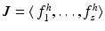 
$$J =\langle \, f_{1}^{h},\ldots,f_{s}^{h}\rangle$$
