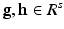 
$$\mathbf{g},\mathbf{h} \in R^{s}$$
