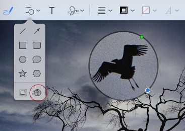 ⑩ 	Use the Zoom button (circled) to zoom in on part of an image or PDF.