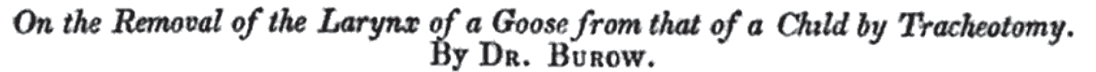 On the Removal of the Larynx of a Goose from that of a Child by Tracheotomy. By Dr. Burow. 