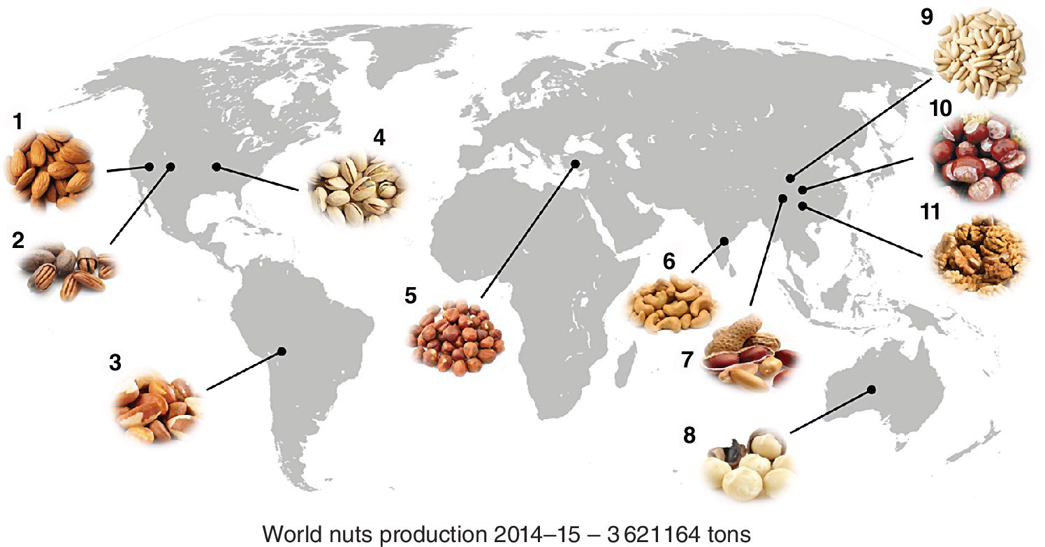 World map with different nuts labeled 1–11 depicting the main nuts produced and main producers in 2014–15 season such as almonds (1), pecans (2), Brazil nuts (3), pistachios (4), hazelnuts (5), and cashews (6).