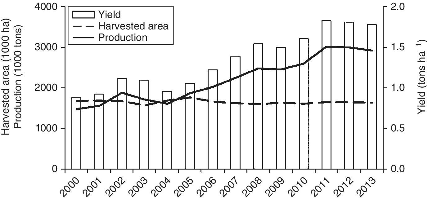 Bar graph of almond yields from 2000 to 2013 with horizontal dashed and ascending solid curves representing harvested area and production, respectively, depicting evolution of almond (with shell) production.