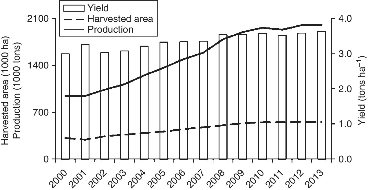 Bar graph of chestnut yields from 2000 to 2013 with slightly horizontal dashed and ascending solid curves representing harvested area and production, respectively, depicting evolution of chestnut production.