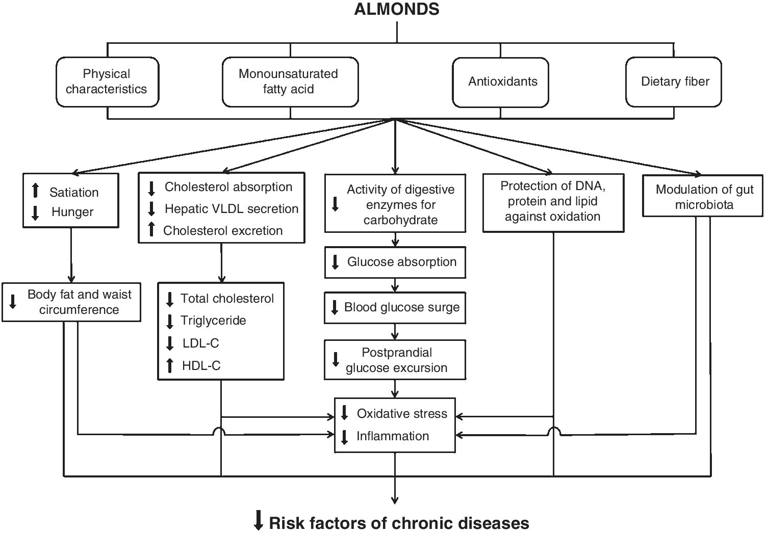 Block diagram demonstrating the putative mechanism by which almonds and their constituents protect against risk factors of chronic diseases.