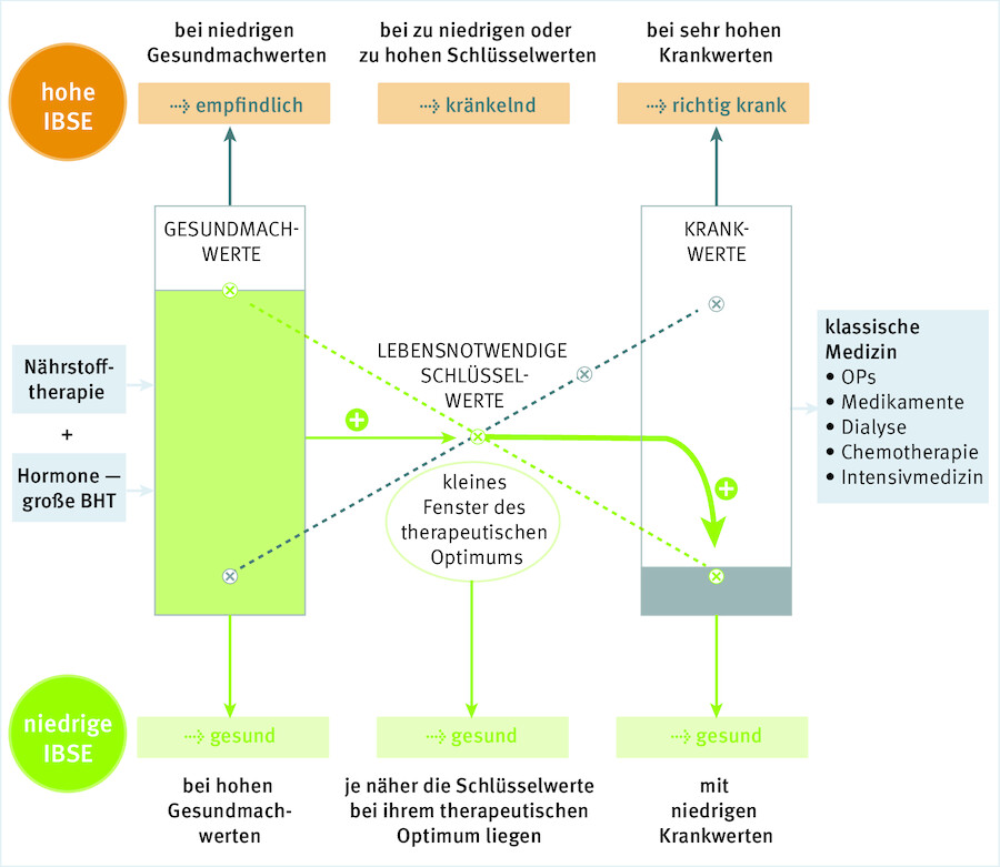 Einblick in die funktionelle Labordiagnostik: Über die Anhebung der niedrigen Gesundmachwerte und niedrigen Schlüsselwerte, werden Schlüsselwerte in ihr therapeutisches Optimum (robuste IBSE) gebracht