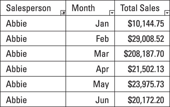 Snapshot of the sales performance dataset, filtered to show only Abbie’s records.