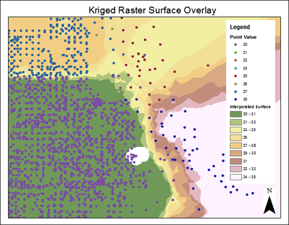 Schematic illustration of a raster surface map.