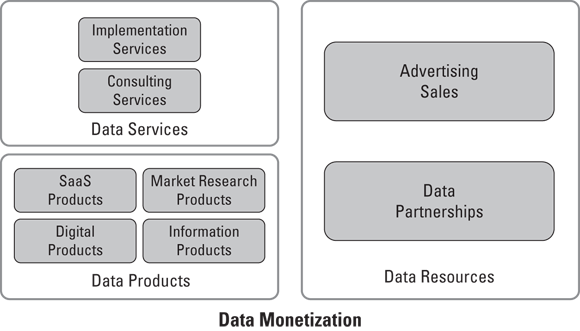 Schematic illustration of the three main ways to monetize data.