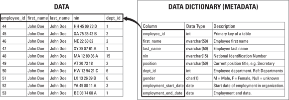 Snapshot of the relationship between a dataset and the data dictionary that describes it.