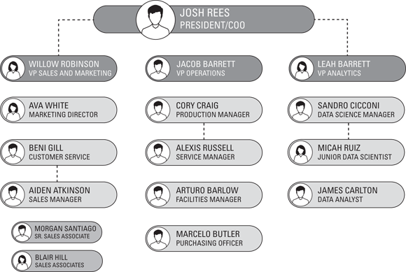 Schematic illustration of an organizational chart.