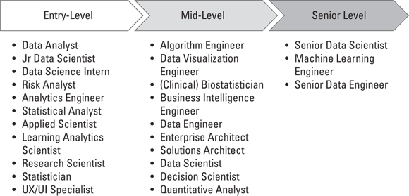 Schematic illustration of potential roles that can take you from entry-level to senior-level as a data implementer.