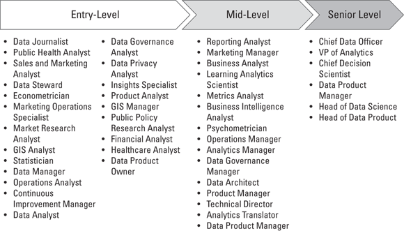 Schematic illustration of potential roles that can take you from entry-level to senior-level as a data leader.