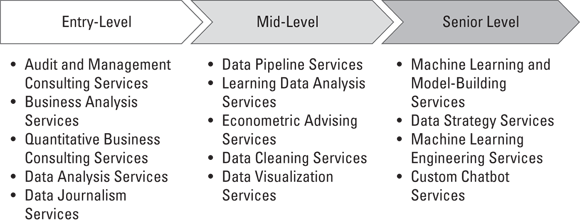 Schematic illustration of potential roles that can take you from entry-level to senior-level as a data entrepreneur.