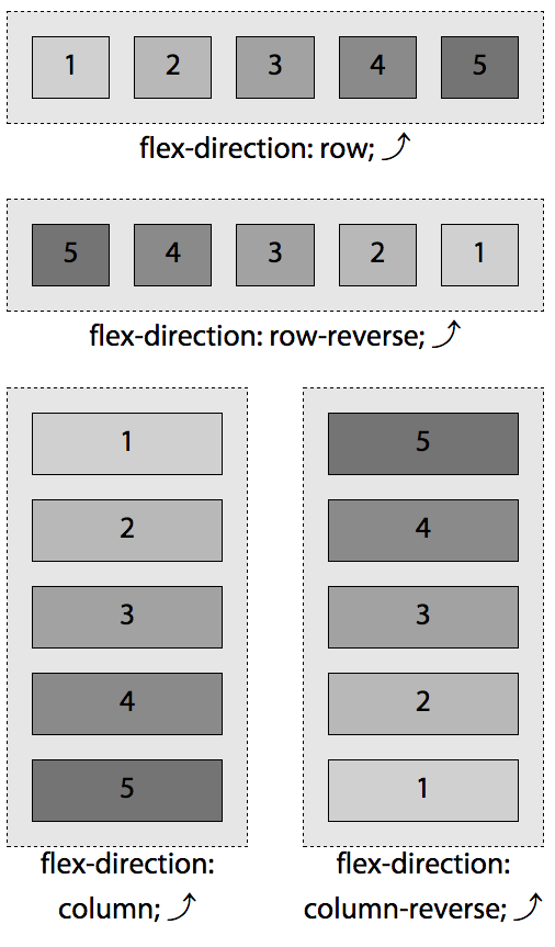 The four values of the flex-direction property