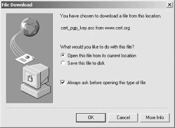 When you download the file, Internet Explorer allows you to open the file directly or save it to your disk. Choose “Open” to view the file with the PGPkeys application.