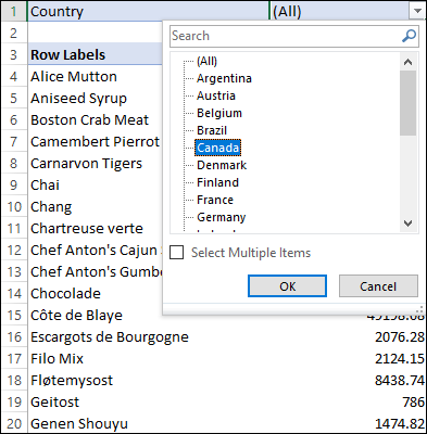 Spreadsheet displaying filter field’s drop-down list with Canada being highlighted. At the bottom is a check box for Select Multiple Items and OK and Cancel buttons.