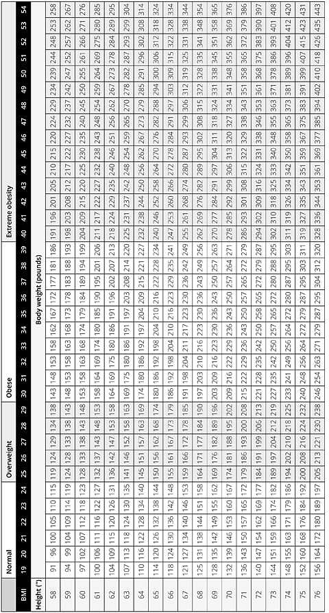 Body Mass Index