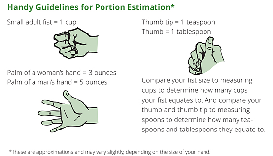 Portion Size Approximations