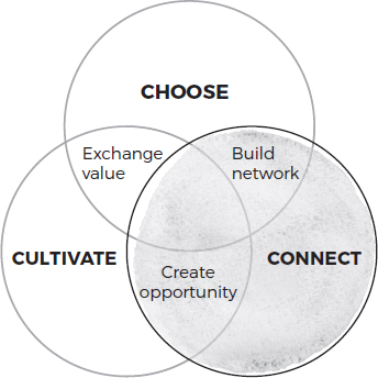 A Venn diagram shows choose, connect, and cultivate intersecting each other. The points of intersections are as follows:  • Choose and connect: Build network • Connect and cultivate: Create opportunity • Cultivate and choose: Exchange value