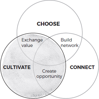 A Venn diagram shows choose, connect, and cultivate intersecting each other. The points of intersections are as follows:  • Choose and connect: Build network • Connect and cultivate: Create opportunity • Cultivate and choose: Exchange value