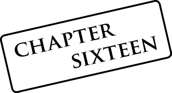 chapter sixteen