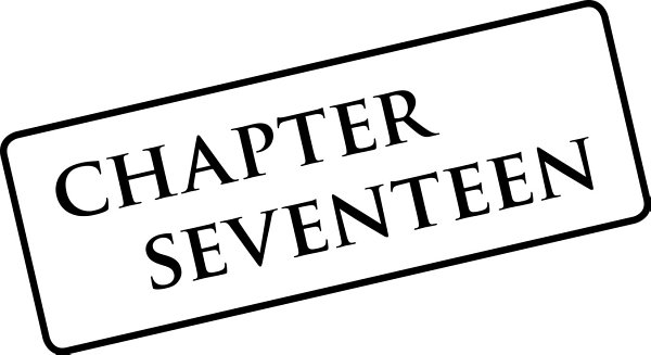 chapter seventeen