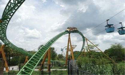 p209-Cheetah-Hunt.jpg