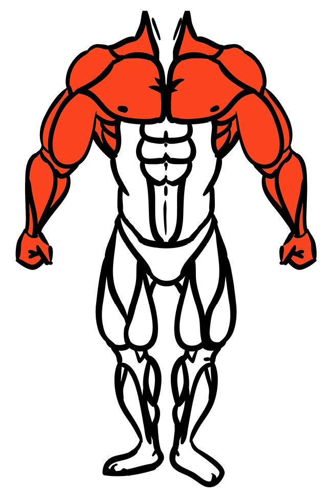 Upper-Body.jpg