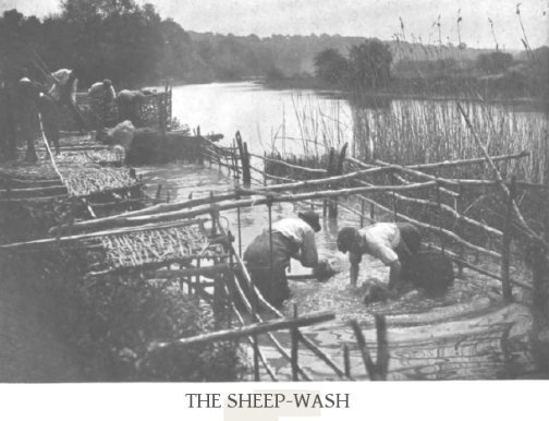 “The Sheepwash”