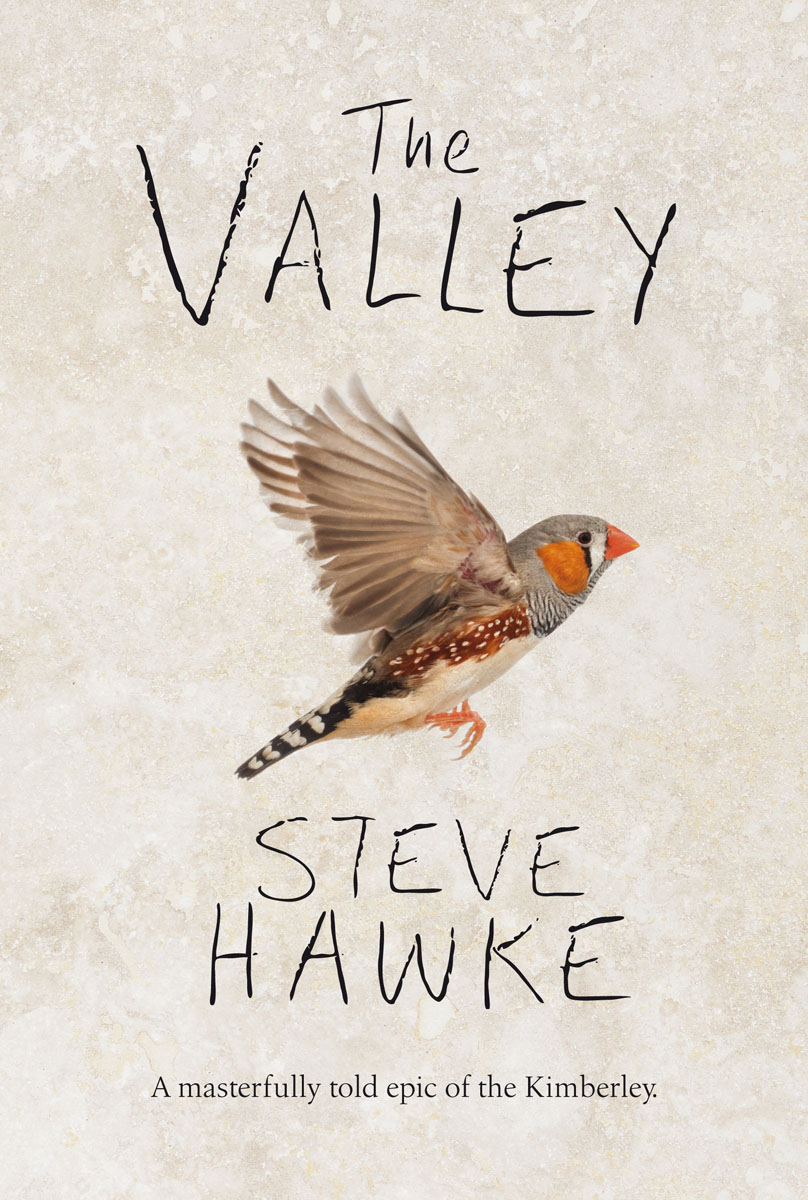 Front Cover of The Valley