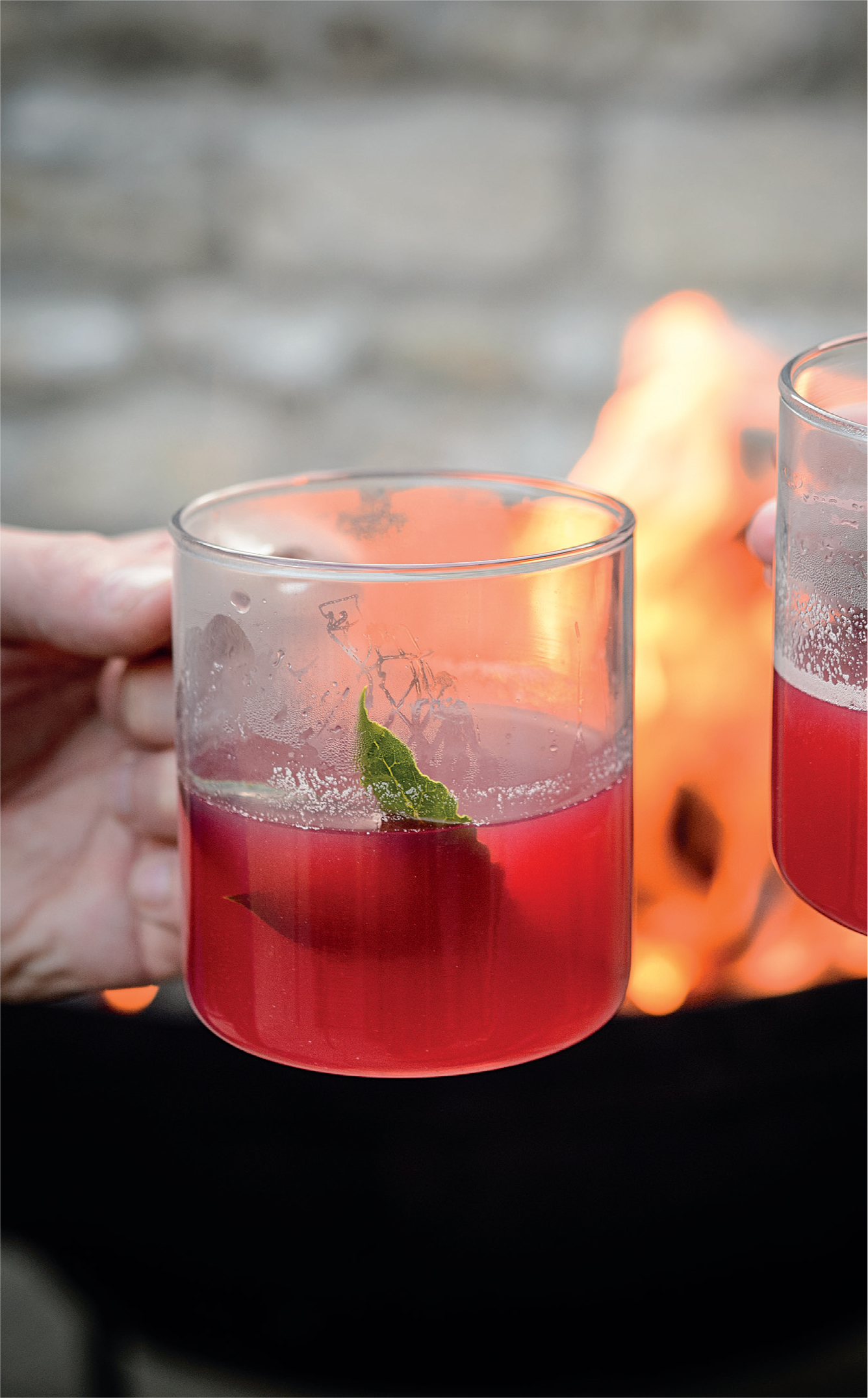 Warming Dark Berry Shrub