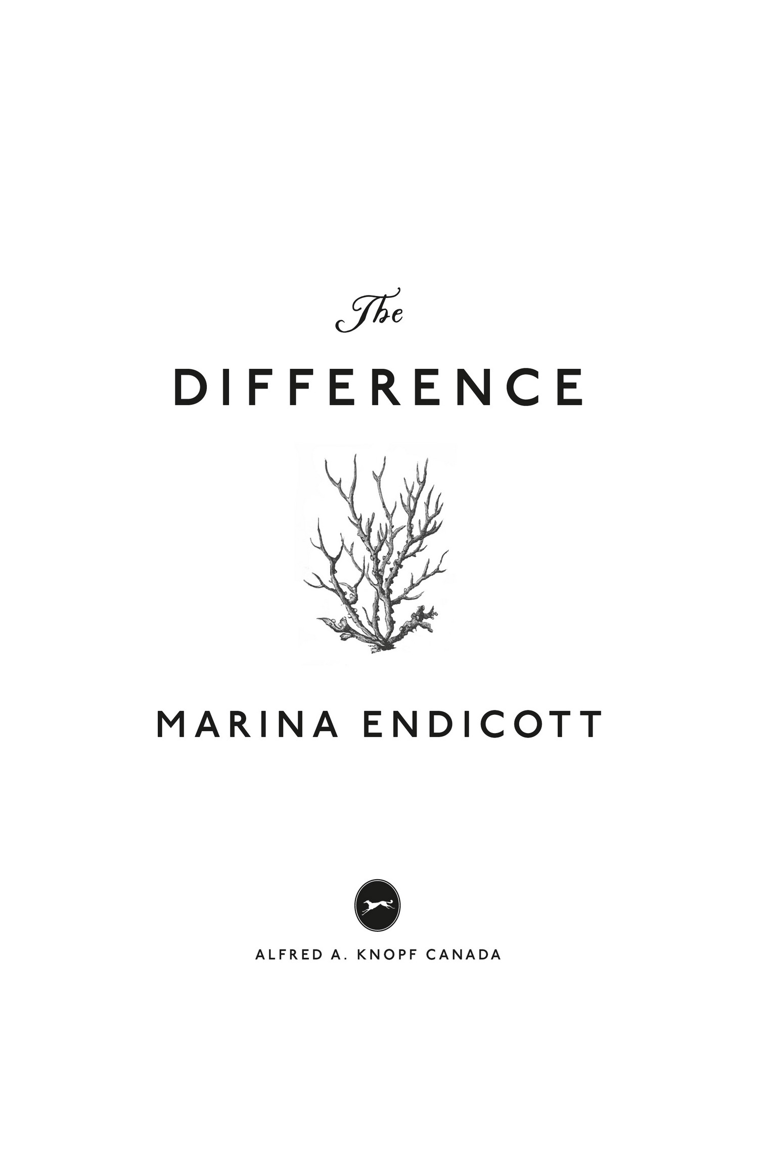 Book title, The Difference, author, Marina Endicott, imprint, Knopf Canada