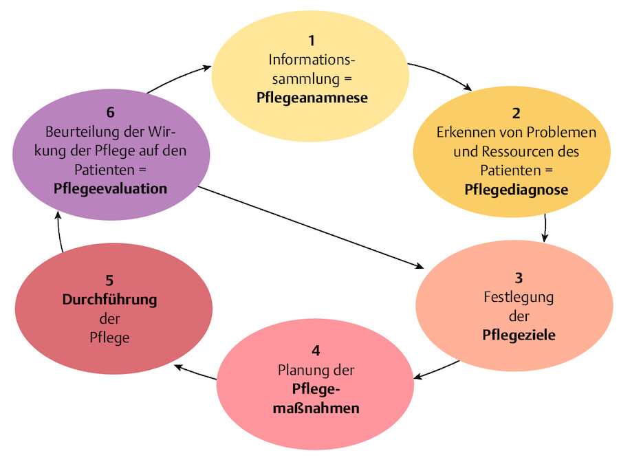 Pflegeprozess im Sechs-Schritt-Modell (nach Fiechter und Meier 1988).