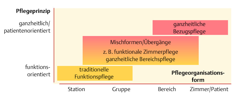 Zusammenhang zwischen Pflegeprinzip und Pflegeorganisationsform.